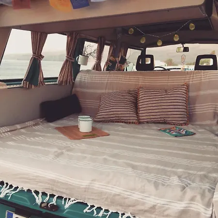 Turtles Van