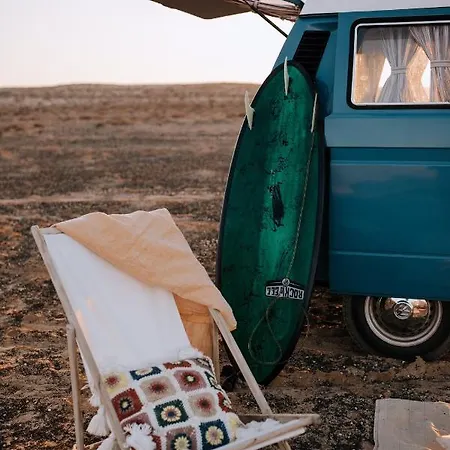 Campsite Turtles Van *